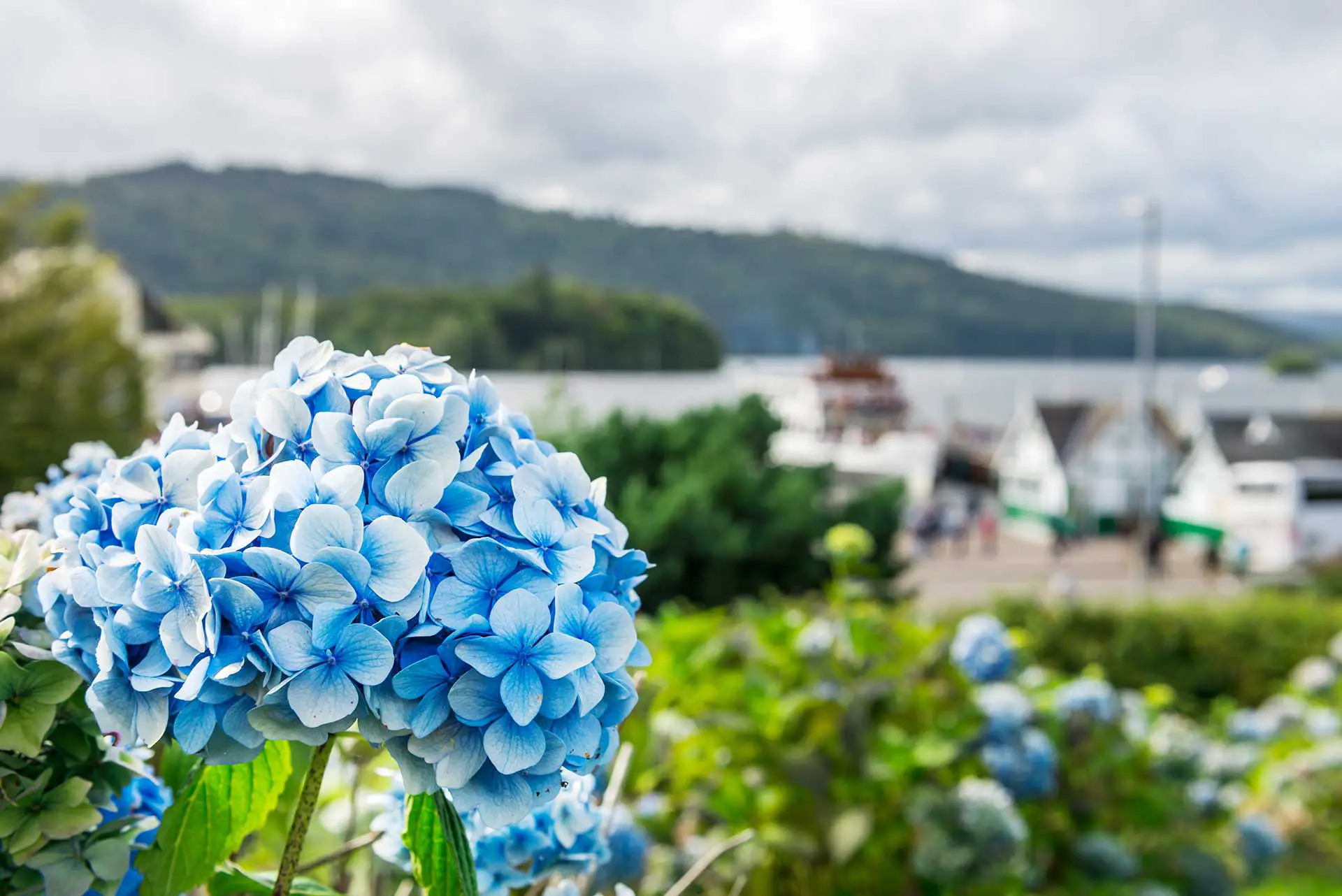 Best hotels overlooking Lake Windermere- Amazing Views